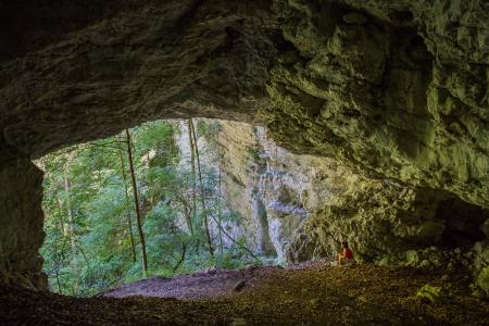 Krnica (32)